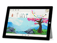 北林Surface 无法开启、Windows 无法启动或电池无法充电